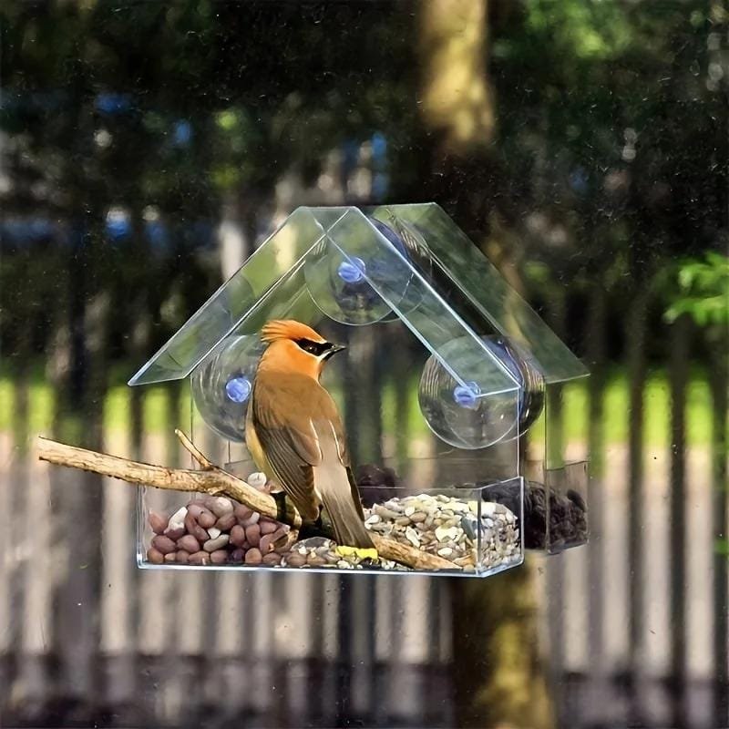 transparent wall mounted bird feeder